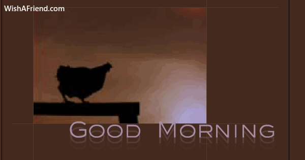 good-morning-gifs-25514