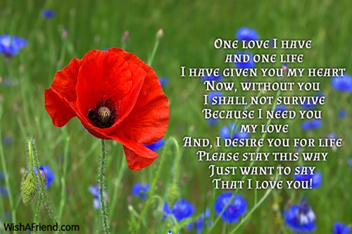 11089-i-love-you-poems