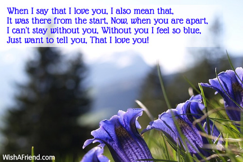 11091-i-love-you-poems