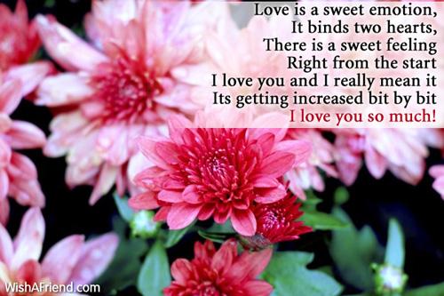 11272-sweet-love-poems