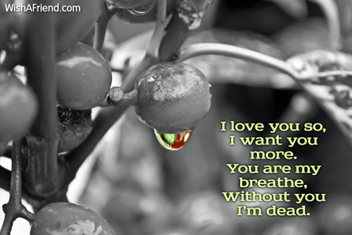 i-love-you-poems-7946
