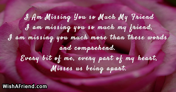 10307-missing-you-friend-poems