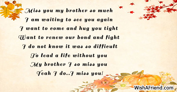 missing-you-messages-for-brother-24588