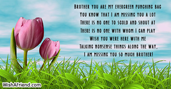 missing-you-messages-for-brother-24591