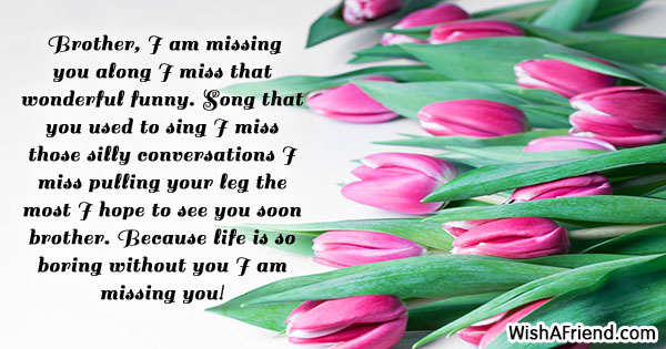 24595-missing-you-messages-for-brother