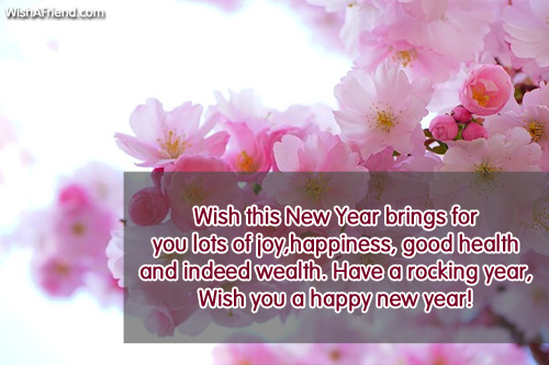 Wish This New Year Brings For New Year Message