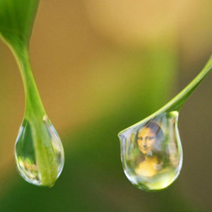 Water Drop