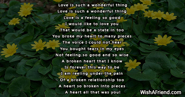 22738-broken-heart-poems