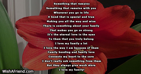 24917-family-poems