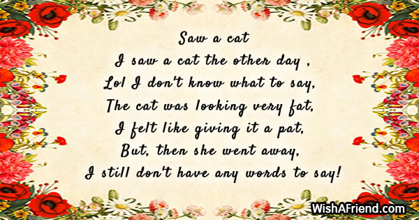 Saw a cat , Funny Poem