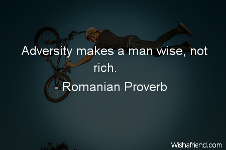 adversity-Adversity makes a man wise,