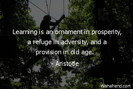 adversity-Learning is an ornament in