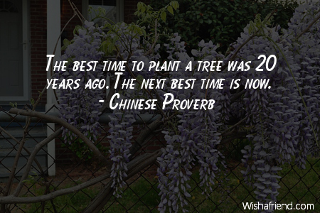 arborday-The best time to plant