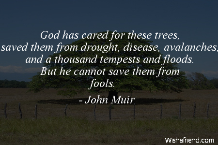 arborday-God has cared for these