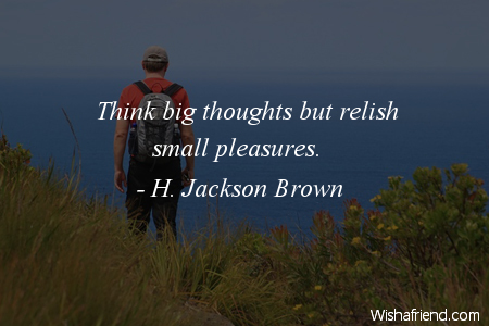 attitude-Think big thoughts but relish