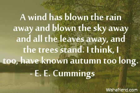 autumn-A wind has blown the