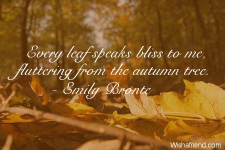 autumn-Every leaf speaks bliss to