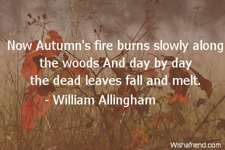 autumn-Now Autumn's fire burns slowly