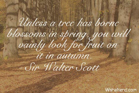 autumn-Unless a tree has borne