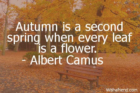 autumn-Autumn is a second spring