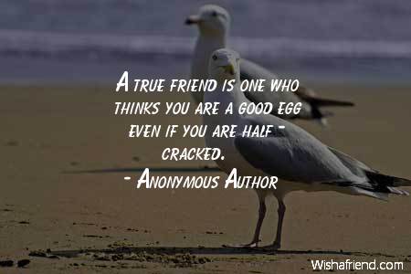 bestfriend-A true friend is one