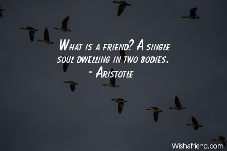 bestfriend-What is a friend? A