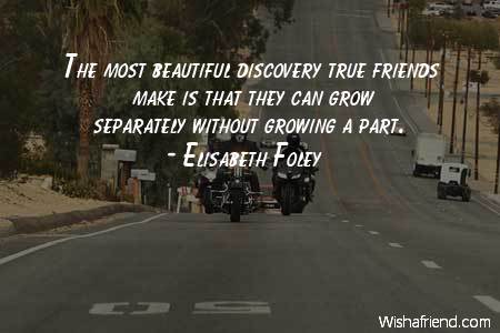 bestfriend-The most beautiful discovery true