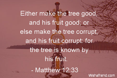 bible-Either make the tree good,
