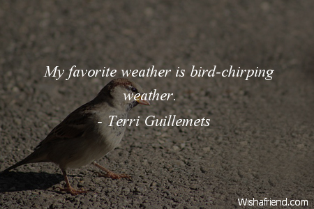 bird-My favorite weather is bird-chirping