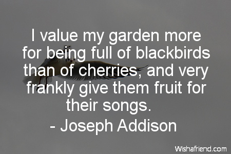 bird-I value my garden more