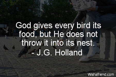 bird-God gives every bird its