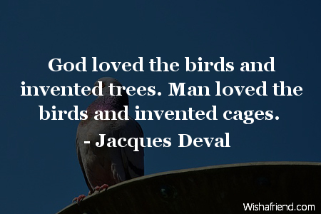 bird-God loved the birds and