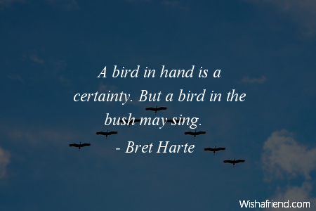 bird-A bird in hand is