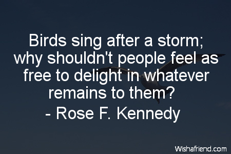 bird-Birds sing after a storm;