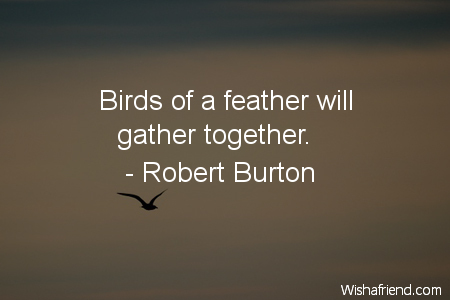 bird-Birds of a feather will