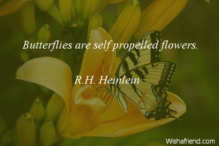 butterfly-Butterflies are self propelled flowers.