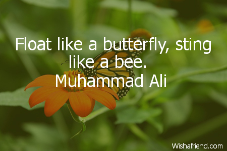 Muhammad Ali Quote Float Like A Butterfly Sting Like A Bee