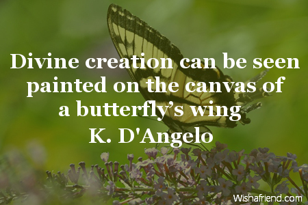 butterfly-Divine creation can be seen