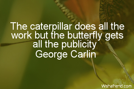 butterfly-The caterpillar does all the