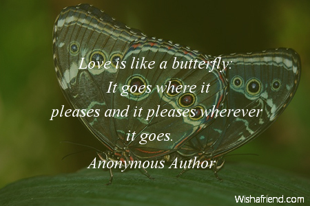 butterfly-Love is like a butterfly: