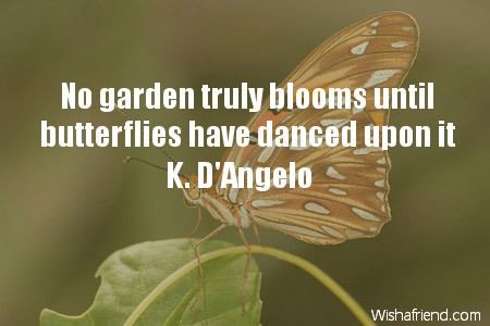 butterfly-No garden truly blooms until