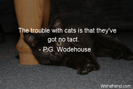 cat-The trouble with cats is