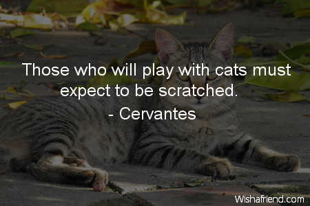 cat-Those who will play with