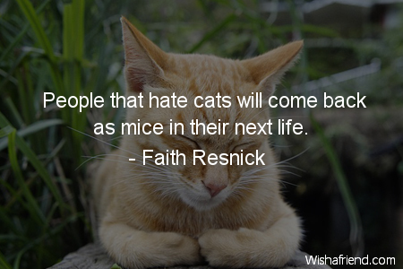 cat-People that hate cats will