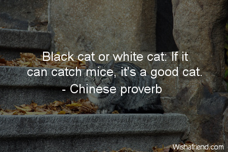 cat-Black cat or white cat: