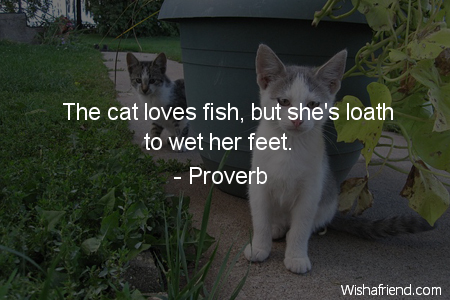 cat-The cat loves fish, but