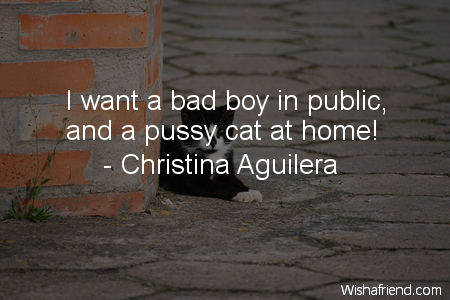 cat-I want a bad boy