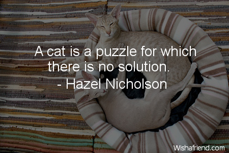 cat-A cat is a puzzle