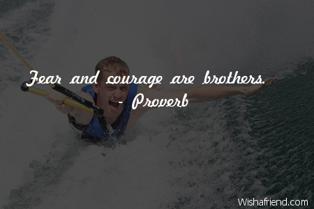 courage-Fear and courage are brothers.