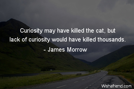 curiosity-Curiosity may have killed the